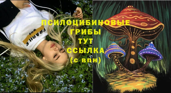 PSILOCYBIN Верхний Тагил